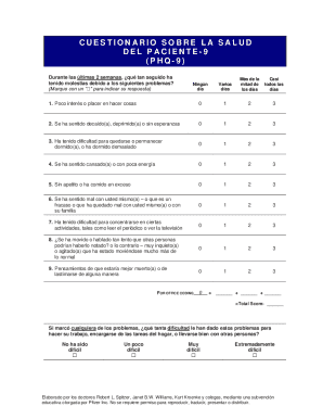 Phq 9 Spanish  Form