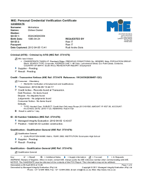 Mie Report Example  Form