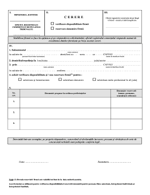 Verificare Disponibilitate Nume Firma  Form